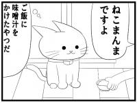 4R}uX`v