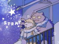 STRAY