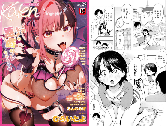 コミックカイエン（快艶） VOL.29のタイトル画像