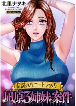 `̃nj[gbp[ ⌴3öČ  F 8