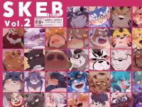 SKEB܂Ƃߖ{ Vol.2