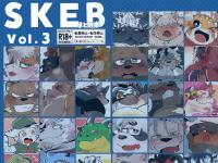 SKEB܂Ƃߖ{ Vol.3