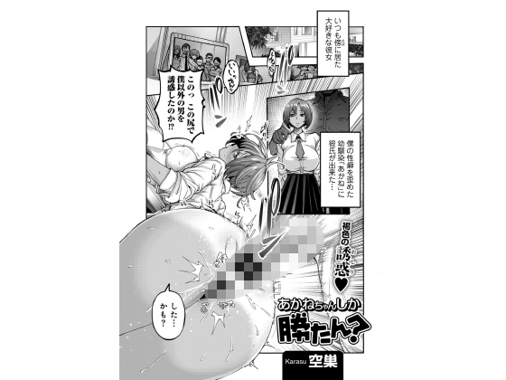 �����˂���񂵂�������H �y�P�b�z�̏Љ�摜