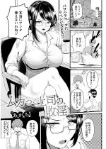 ���J����i�̔s�� �y�P�b�z