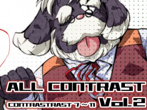 ALL CONTRAST 2