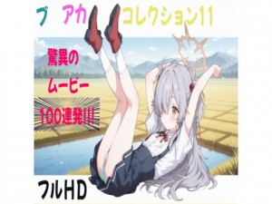 �u���A�J�R���N�V����11