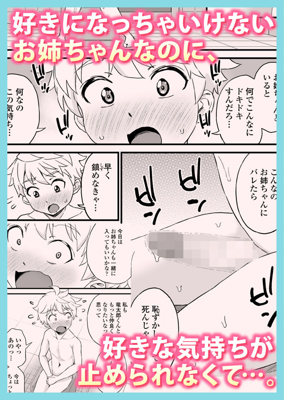 義理のお姉ちゃんとセックスする話のサンプル画像3