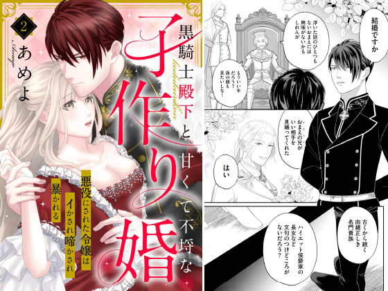 黒騎士殿下と甘くて不埒な子作り婚 悪役にされた令嬢はイかされ啼かされ暴かれる（分冊版） 【第2話】のタイトル画像