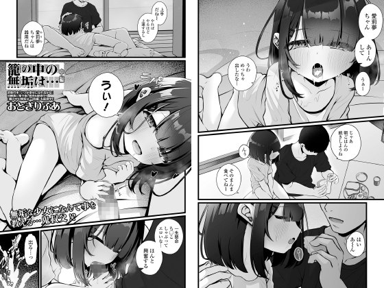 籠の中の無垢は… 中編【単話】のタイトル画像