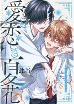 �����������Ẳԁy�����Łz 6�b