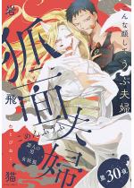 �ϖʕv�w ������ �F 30