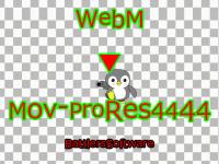 ����Webm�𓧉�Mov-ProRes4444��...