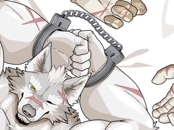 ���􂯁A��������Ƃ��̏Љ�摜