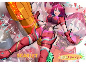 ���V�̃X�J�[���b�g