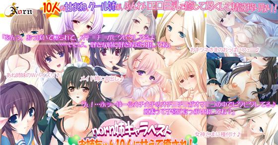 お姉ちゃん10人に甘えて癒され norn姉キャラベスト