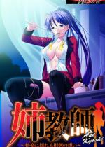 y70%OFFzot `yɗh鑊̑z`yT}[C