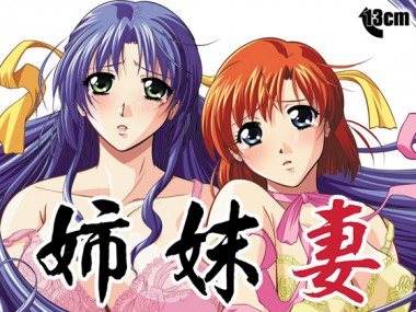 [13cm] の【姉妹妻】