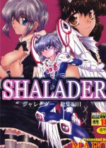 y50%OFFzSHALADER V[_[WҁytCP 5/12܂Łz