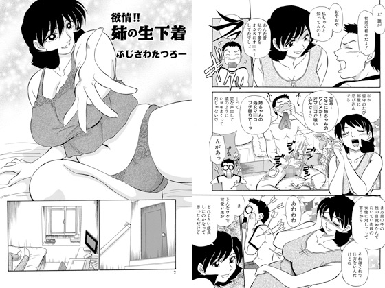 �~��I�I�o�̐������̏Љ�摜
