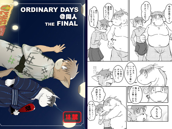 OrdinaryDayslTHE FINAL̏Љ摜