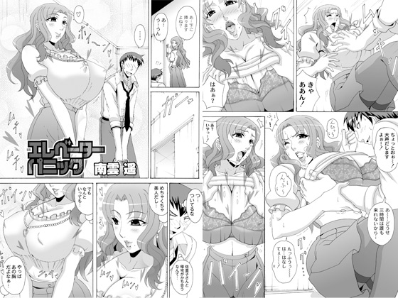 �G���x�[�^�[�p�j�b�N�̏Љ�摜