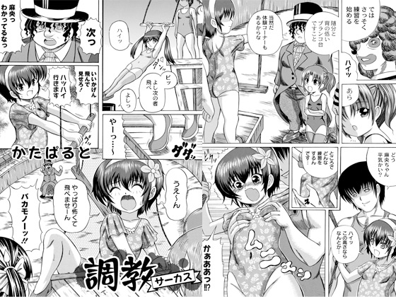 T[JX̏Љ摜