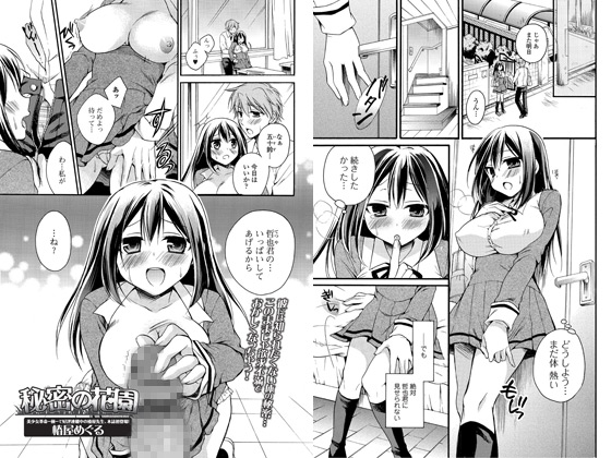 �閧�̉ԉ��̏Љ�摜