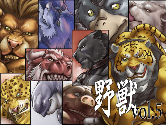 bvol.5̏Љ摜
