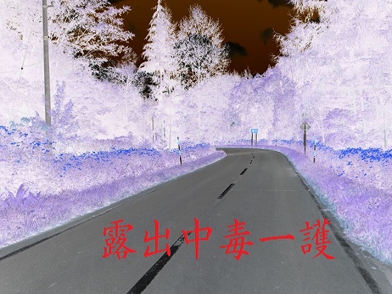 Ioň̏Љ摜
