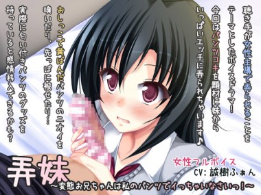 [ディーブルスト] の【弄妹～変態お兄ちゃんは私のパンツでイっちゃいなさいっ!～】