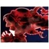 �y50%OFF�zForest�y2026�T�}�[CP 8/31�܂Łz